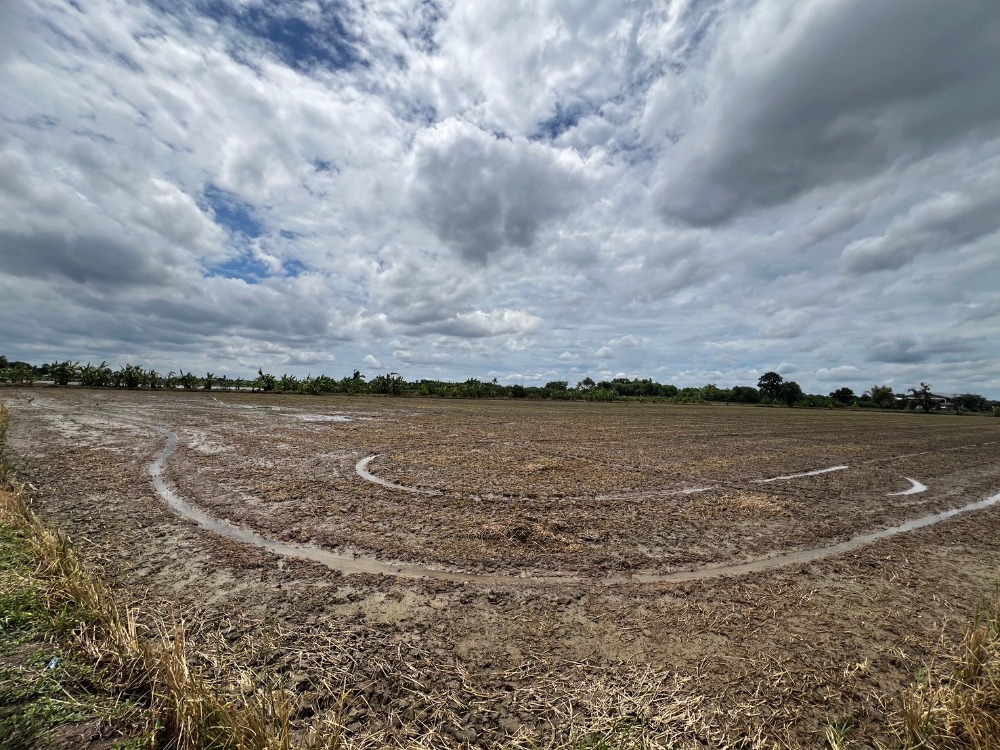 For SaleLandNakhon Pathom : Land for sale, green area, suitable for investment!! Khlong Yong-Nakhon Pathom, on Pracha Uthit Road, 1.5 kilometers from Phutthamonthon Vocational College (Owner selling himself, call 0863919690)