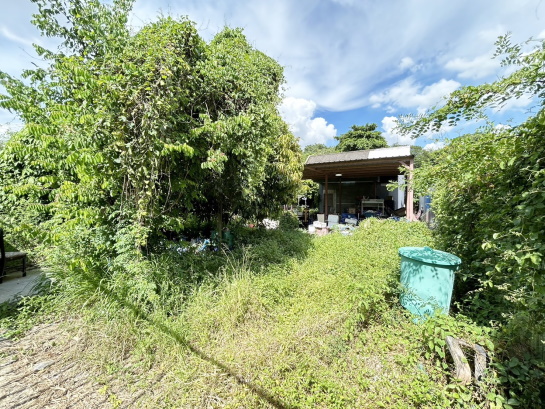 ขายที่ดินเลียบทางด่วนรามอินทรา : ขายที่ดินคลองลำเจียก 29 เนื้อที่ 100 ตร.ว ที่ดินสวยถมแล้ว ขายราคาถูก ใกล้ทางด่วนฉลองรัช ถนนเกษตรนวมินทร์ เพียง 500 เมตร