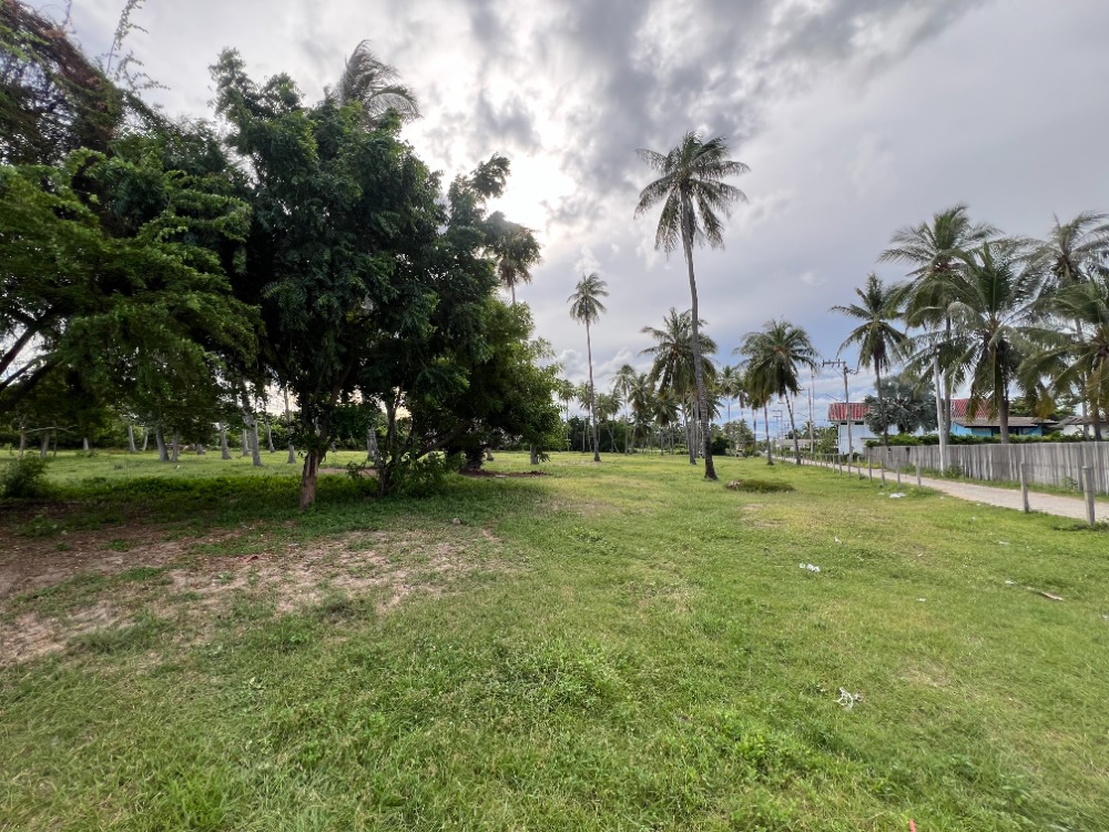 For SaleLandHuahin, Prachuap Khiri Khan, Pran Buri : Urgent sale, beautiful land plot, next to the sea, size 5-3-82 rai, in Bon Nok Subdistrict, Mueang Prachuap Khiri Khan District.