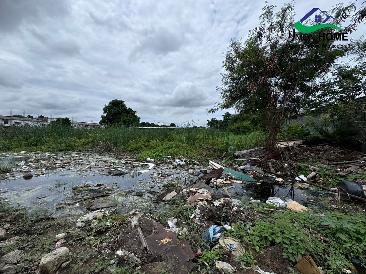 For SaleLandBangna, Bearing, Lasalle : Beautiful land for sale, Soi Thung Setthi 17, near Mega Bangna (N.1006)