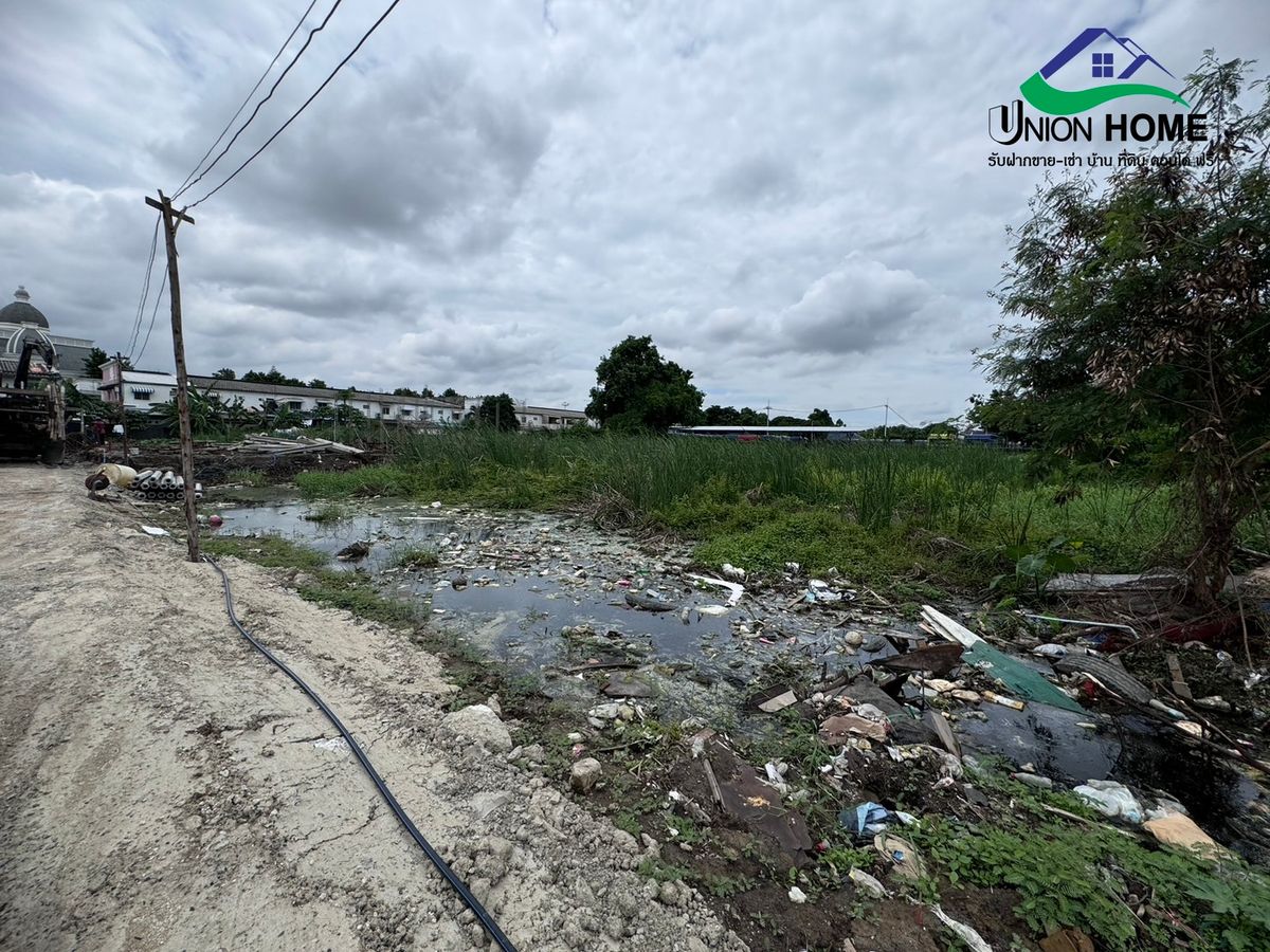 For SaleLandBangna, Bearing, Lasalle : Beautiful land for sale, Soi Thung Setthi 17, near Mega Bangna (N.1006)