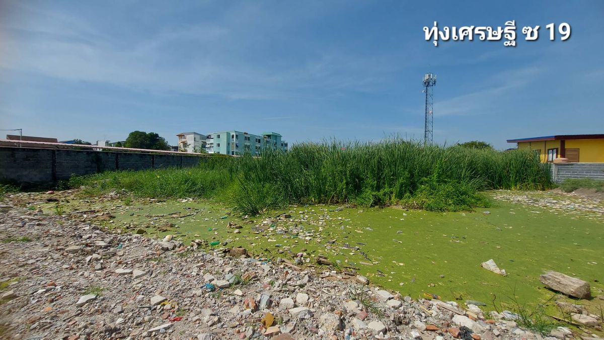For SaleLandBangna, Bearing, Lasalle : Beautiful land for sale, Soi Thung Setthi 17, near Mega Bangna (N.1006)
