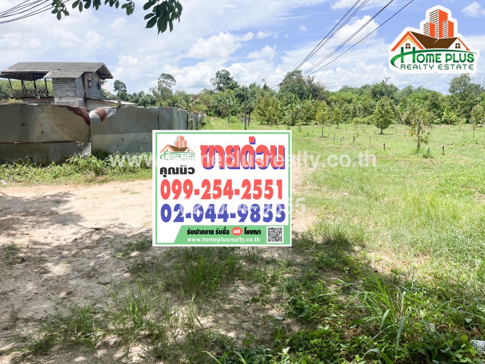 For SaleLandRayong : Land with durian orchard on Chaklaw Road, Taphong Subdistrict, Mueang Rayong District, area 4 rai 94.5 square wa.