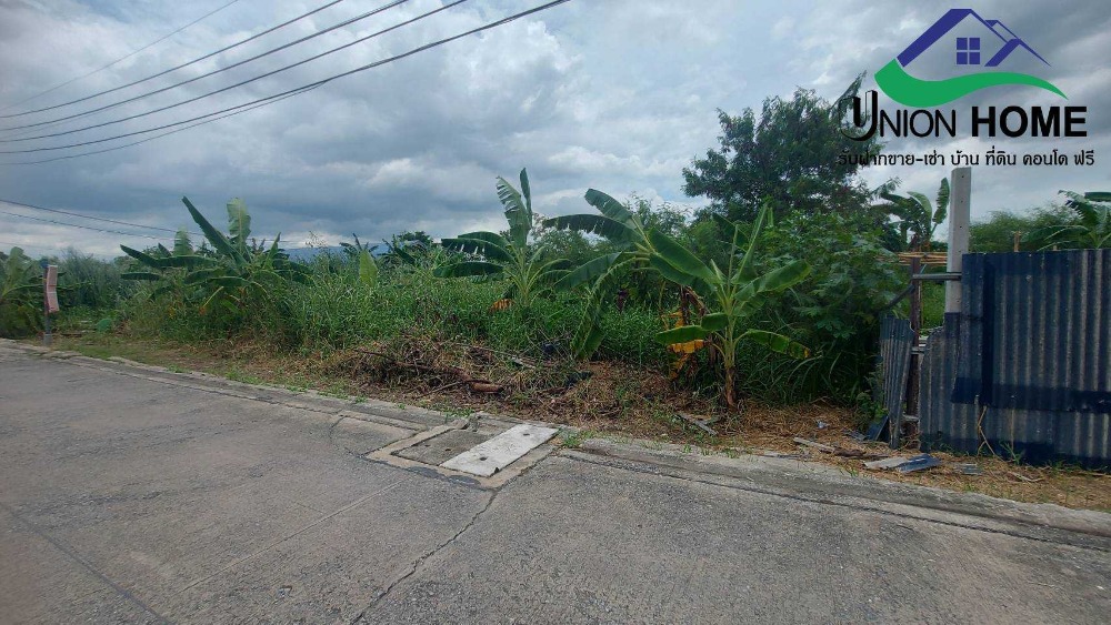 ขายที่ดินปทุมธานี รังสิต ธรรมศาสตร์ : ที่ดินเปล่าถมแล้ว ถนนรังสิต-นครนายก33 คลอง2 ธัญบุรี (N.1879)