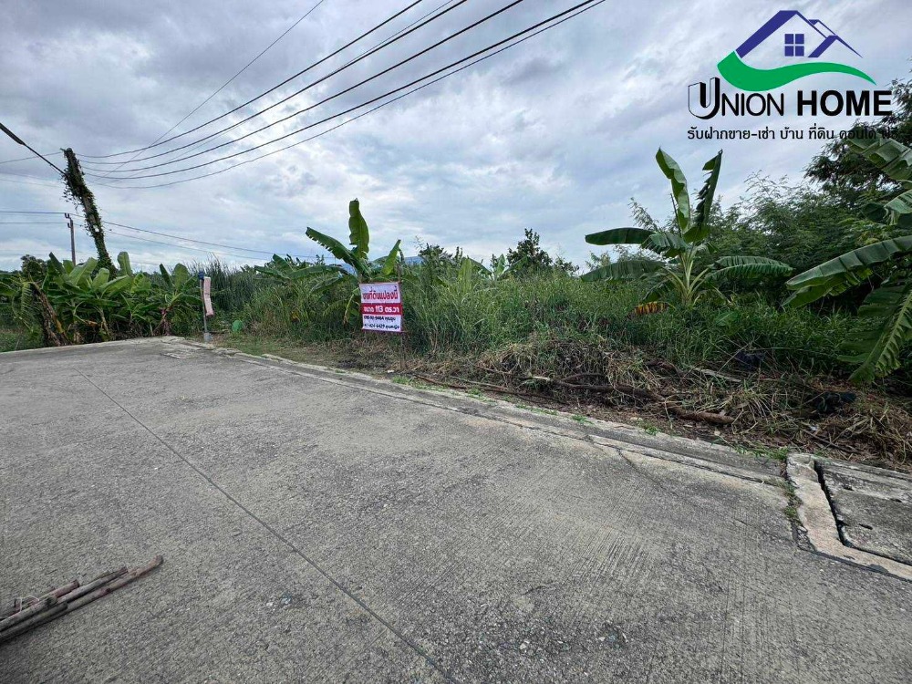 For SaleLandPathum Thani,Rangsit, Thammasat : Empty land filled in, Rangsit-Nakhon Nayok Road 33, Khlong 2, Thanyaburi (N1324)