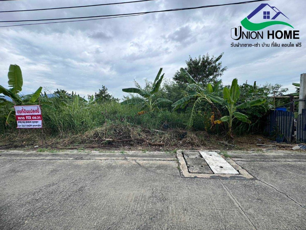 ขายที่ดินปทุมธานี รังสิต ธรรมศาสตร์ : ที่ดินเปล่าถมแล้ว ถนนรังสิต-นครนายก33 คลอง2 ธัญบุรี (N.1879)