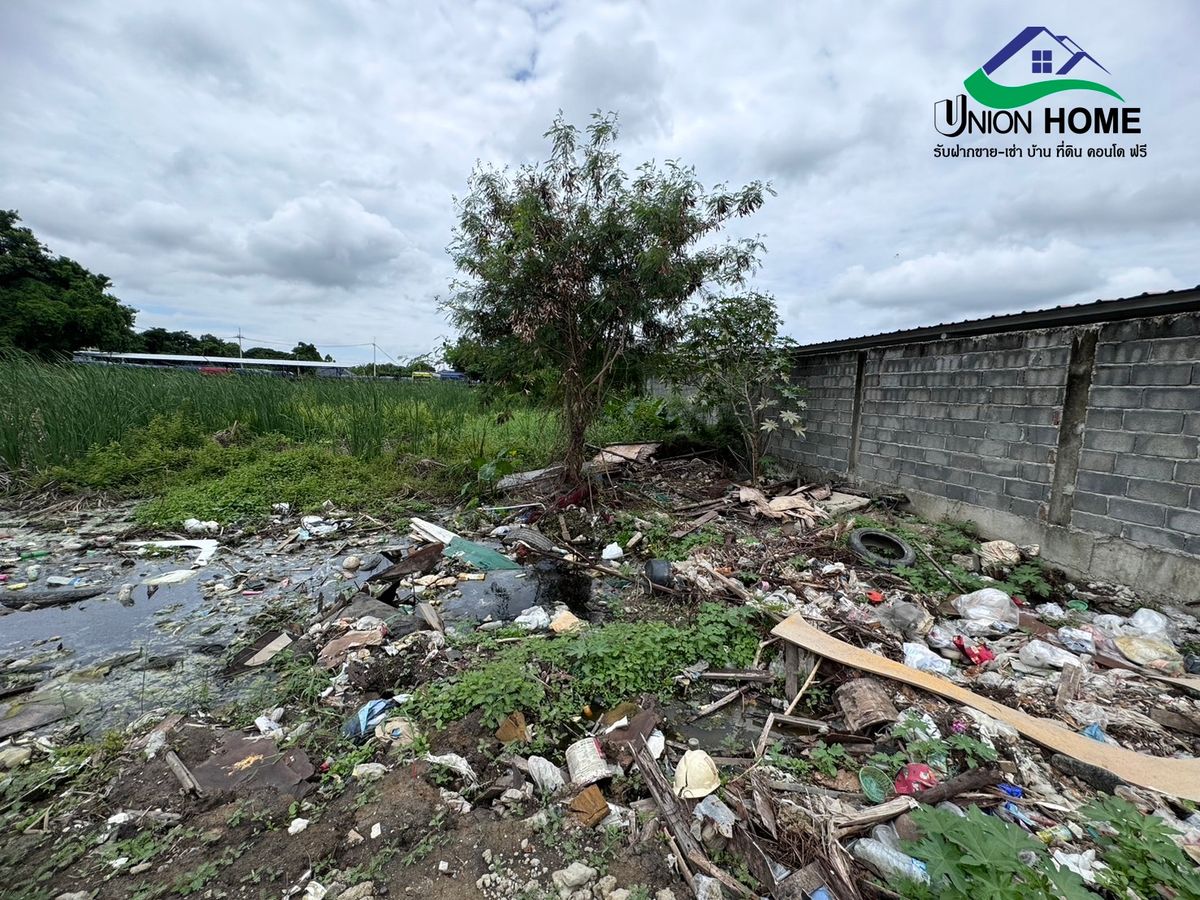 For SaleLandBangna, Bearing, Lasalle : Beautiful land for sale, Soi Thung Setthi 17, near Mega Bangna (N.1006)