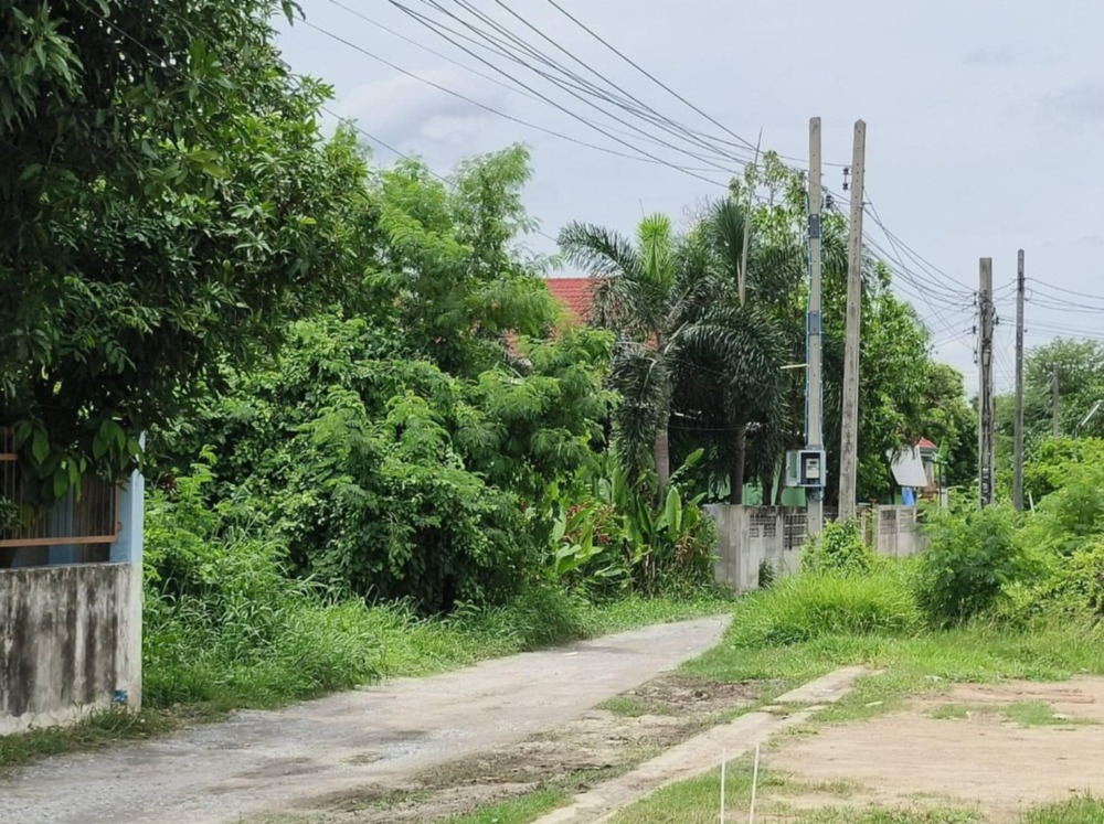 ขายที่ดินนนทบุรี บางใหญ่ บางบัวทอง : ขายที่ดิน 80 ตร.ว. ถมแล้ว เหมาะสำหรับสร้างบ้าน ซ.วัดส้มเกลี้ยง ต.ปลายบาง อ.บางกรวย จ.นนทบุรี