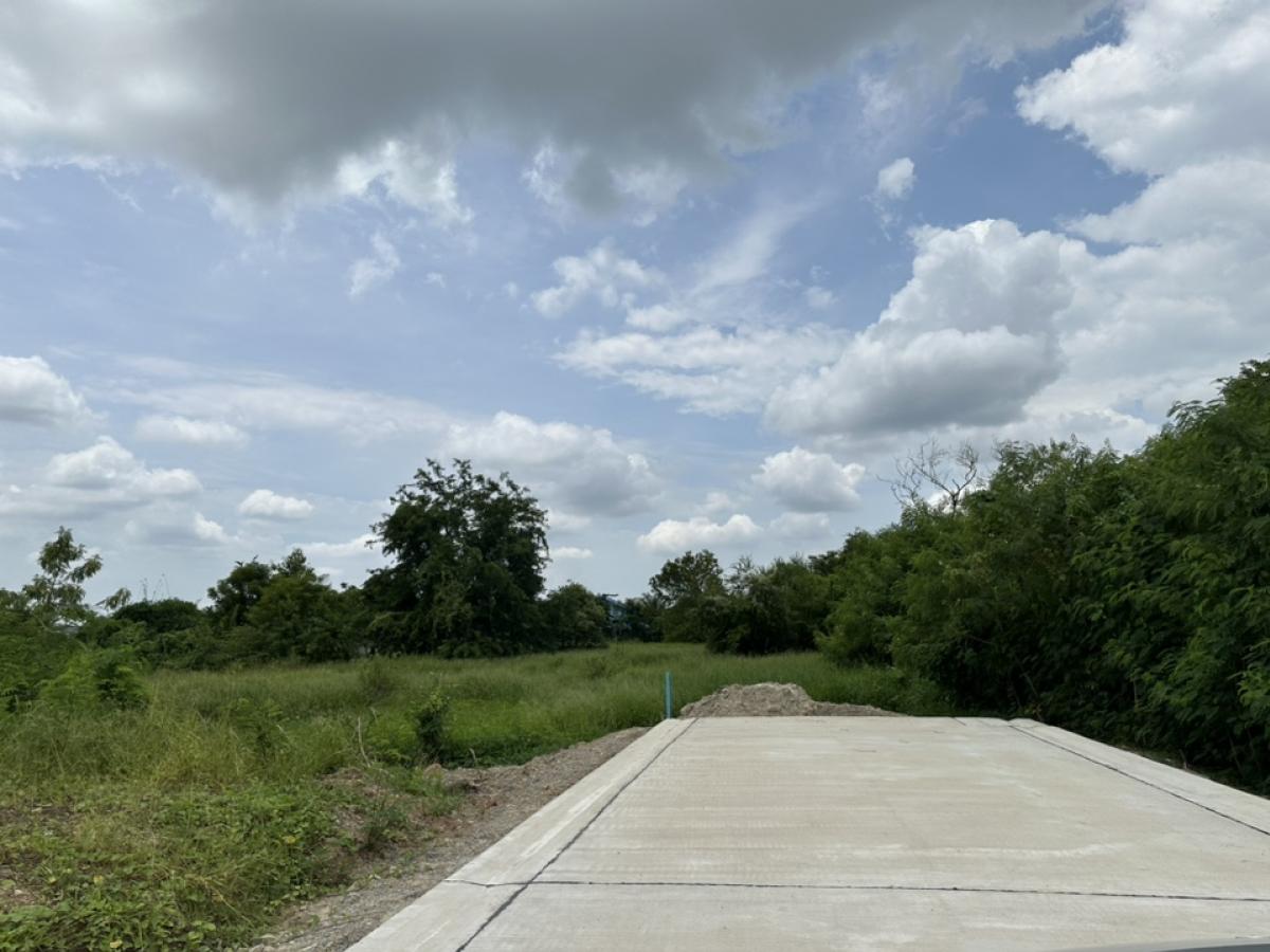 For SaleLandNakhon Pathom : #Urgent sale, whole plot of land 5-1-28.3 rai #Best price, near Phra Pathom Chedi, Central Nakhon Pathom, Sinphaet Hospital, on a concrete road, drainage pipes, electricity in front of the plot, suitable for #housing estate projects