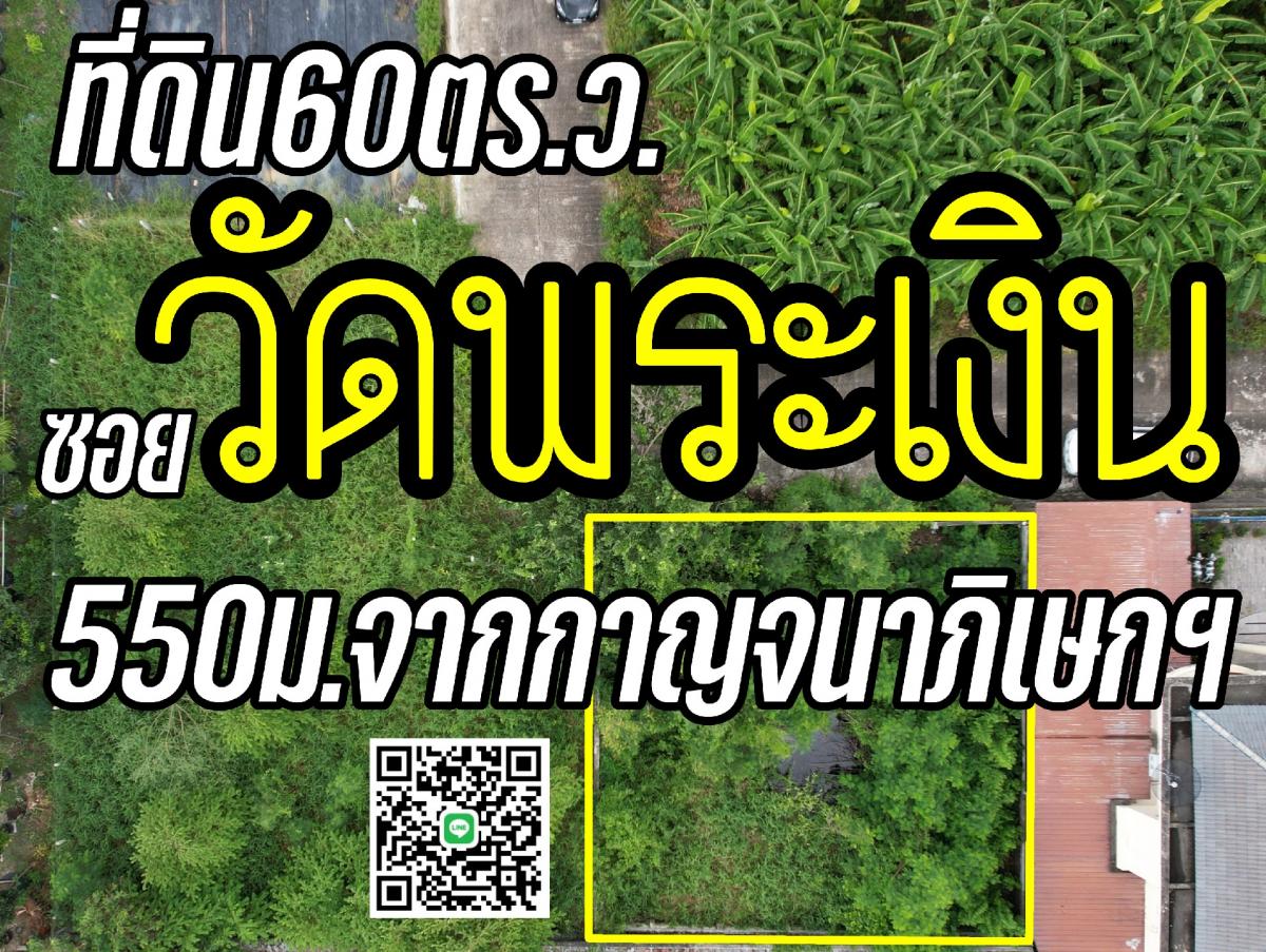 For SaleLandNonthaburi, Bang Yai, Bangbuathong : Land 60 sq.w. 
