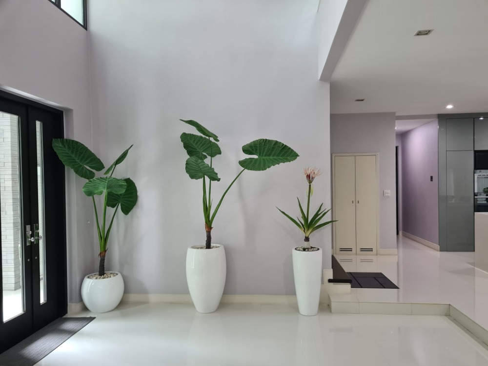 ขายบ้านปิ่นเกล้า จรัญสนิทวงศ์ : 216ตรว 4น4น บ้านเดี่ยว 2 ชั้น ลดาวัลย์ ราชพฤกษ์ ปิ่นเกล้า