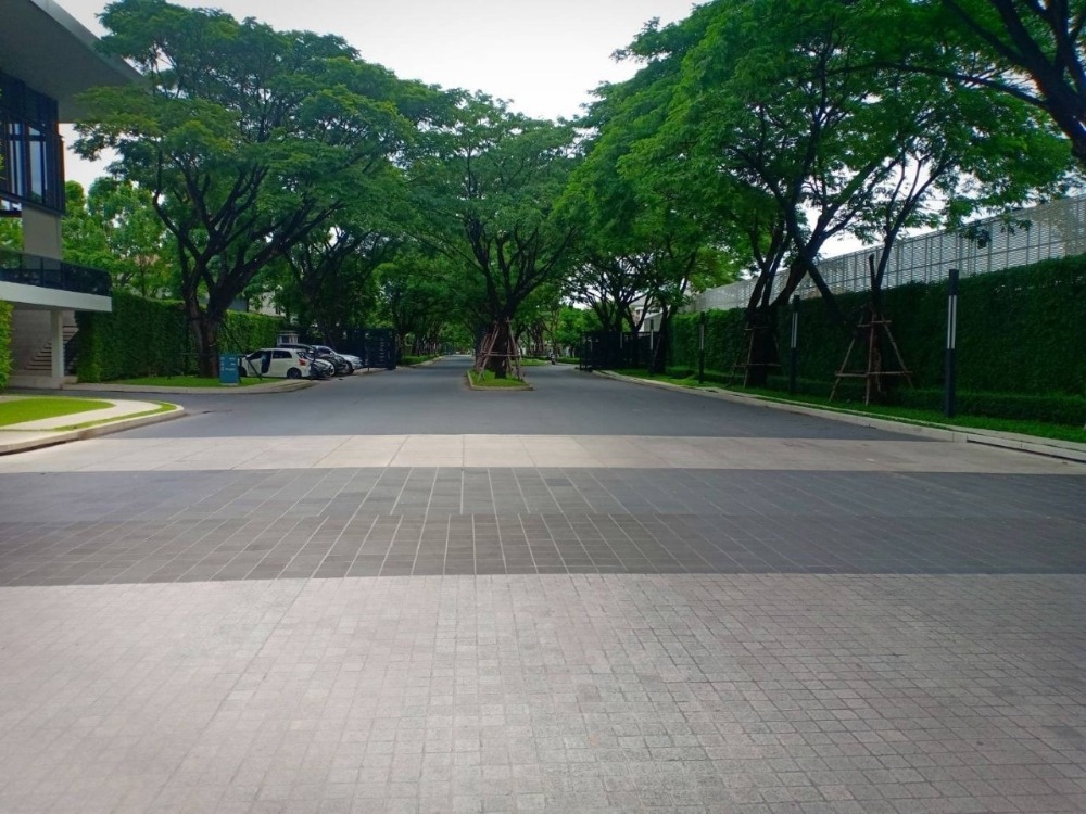 ขายบ้านปิ่นเกล้า จรัญสนิทวงศ์ : 216ตรว 4น4น บ้านเดี่ยว 2 ชั้น ลดาวัลย์ ราชพฤกษ์ ปิ่นเกล้า