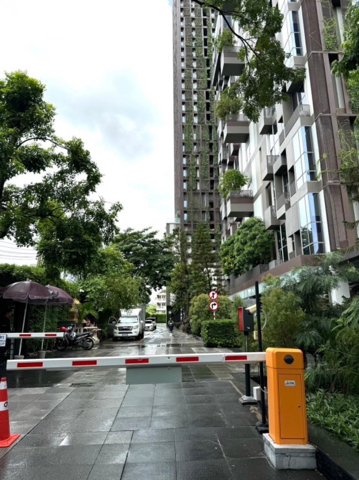 For RentCondoSukhumvit, Asoke, Thonglor : 🎯For rent IDEO MORPH 38 😻Pet-friendly condo 😻Duplex condo IDEO MORPH 38, size 33.6 sq m, high ceiling, fully furnished, ready to move in, common area has a swimming pool, fitness room, convenient location in the heart of the city, Sukhumvit 38, near BTS T