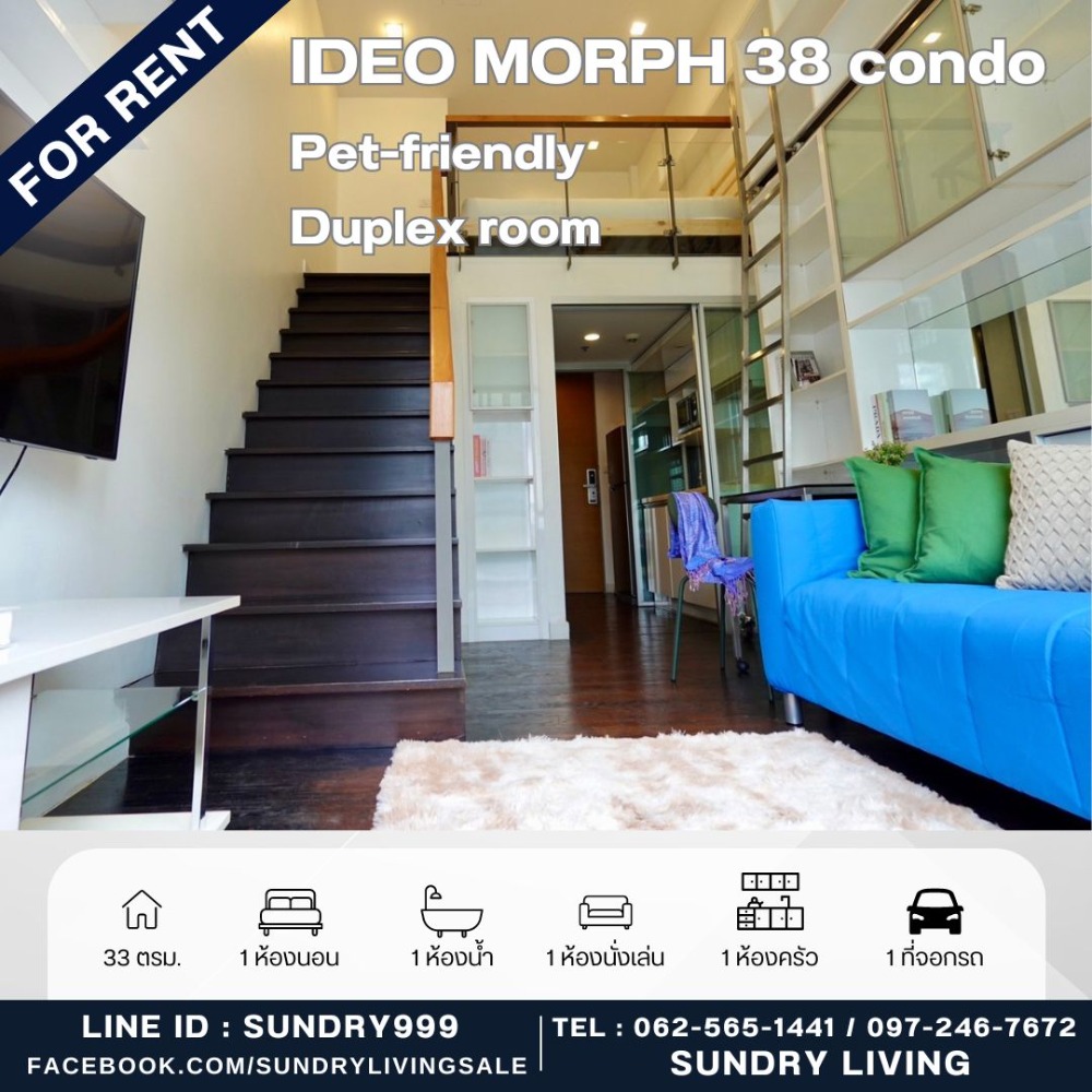 ให้เช่าคอนโดสุขุมวิท อโศก ทองหล่อ : 🎯ให้เช่า IDEO MORPH 38 😻คอนโดเลี้ยงสัตว์ได้ 😻ห้องชุด Duplex คอนโด IDEO MORPH 38 ขนาด 33.6 ตรม. เพดานสูง ตบแต่งพร้อมอยู่ ส่วนกลาง มีสระว่ายน้ำ ห้องฟิตเนส ทำเลสะดวกใจกลางเมือง สุขุมวิท 38 ใกล้สถานีรถไฟฟ้า BTS ทองหล่อ กรุงเทพฯ