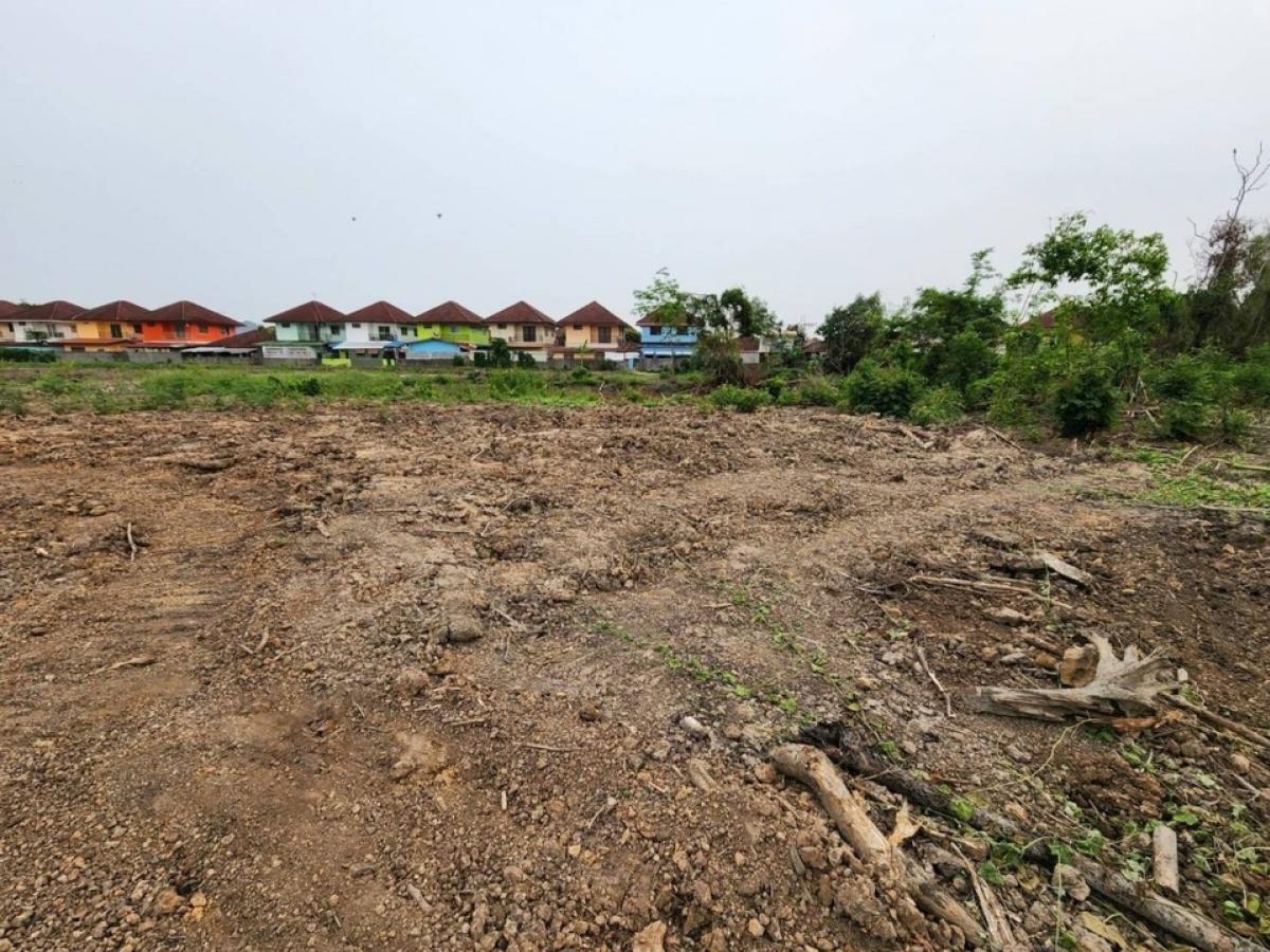 For SaleLandPathum Thani,Rangsit, Thammasat : Land for sale in Rangsit-Nakhon Nayok, Khlong 7, next to Ban Phrotthisan 6