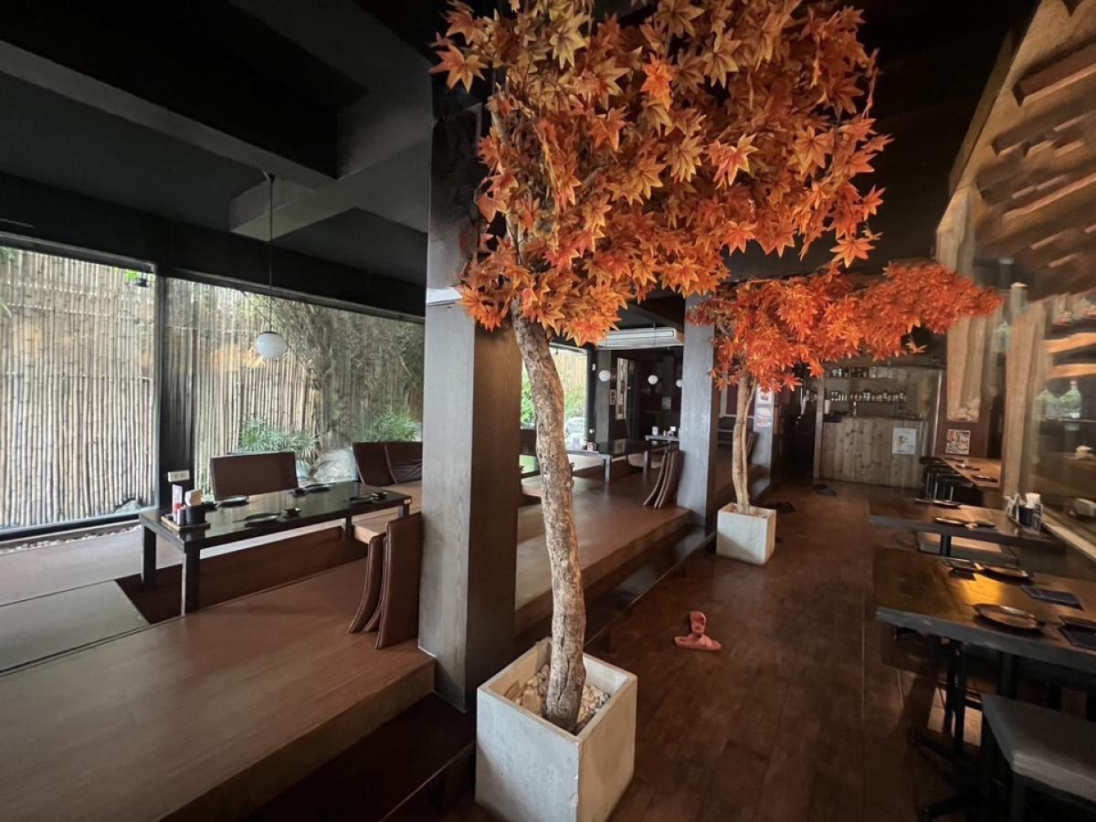 For RentHouseSukhumvit, Asoke, Thonglor : Single house Stand Alone For rent, business, commercial Soi Ekkamai Sukhumvit 63, Bangkok.