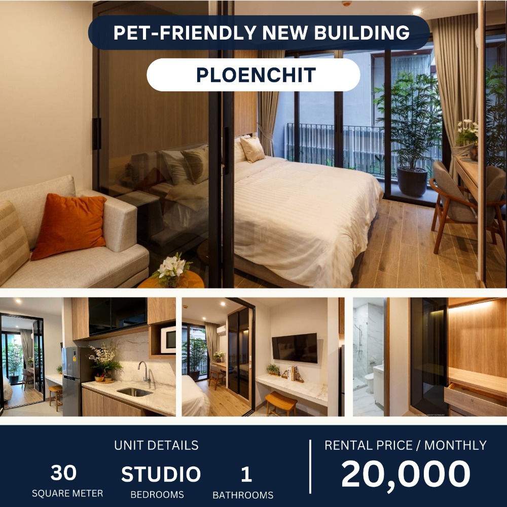 ให้เช่าวิทยุ ชิดลม หลังสวน : Pet-Friendly Apartment Studio for rent 20,000 per month