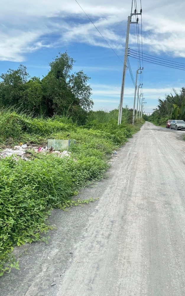 For SaleLandRama 2, Bang Khun Thian : Land Thian Talay 28 / (SALE), Land Thian Talay 28 / (SALE) DAO230