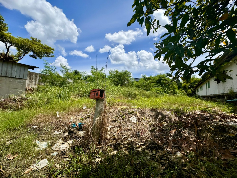 For SaleLandLadkrabang, Suwannaphum Airport : Land for sale, Soi Lat Krabang 3, size 371 sq m (Prachathorn Road), stream view***Price lower than market***