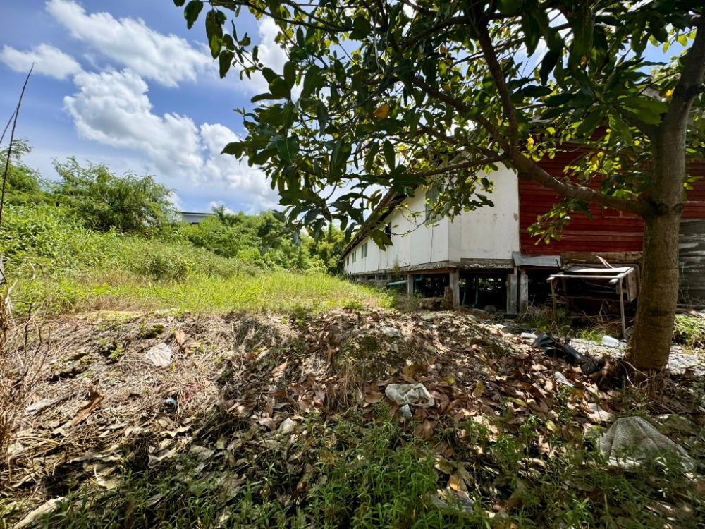 For SaleLandLadkrabang, Suwannaphum Airport : Land for sale, Soi Lat Krabang 3, size 371 sq m (Prachathorn Road), stream view***Price lower than market***