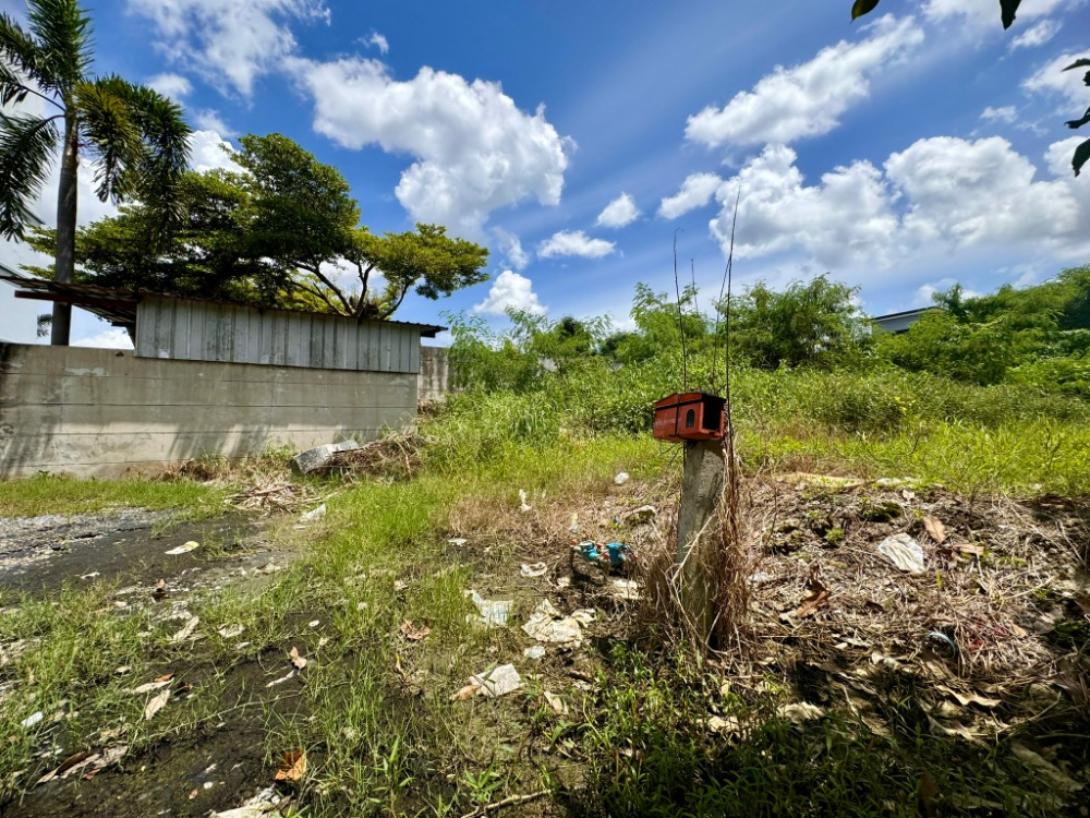 For SaleLandLadkrabang, Suwannaphum Airport : Land for sale, Soi Lat Krabang 3, size 371 sq m (Prachathorn Road), stream view***Price lower than market***