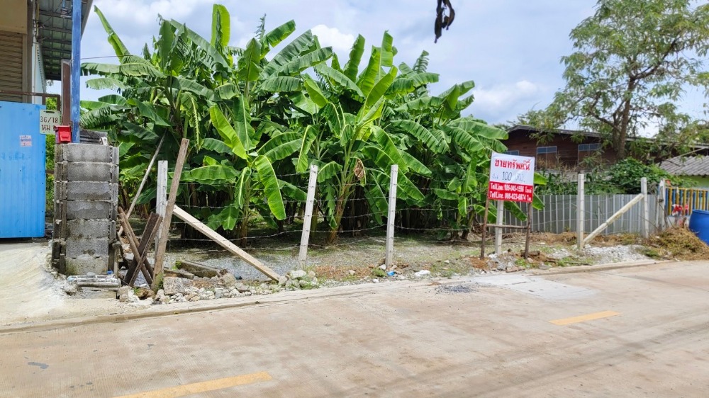 For SaleLandPathum Thani,Rangsit, Thammasat : Land for sale, Soi Thepkuncharoen 20, 100 sq m, near Thai Market, price 2,300,000 baht