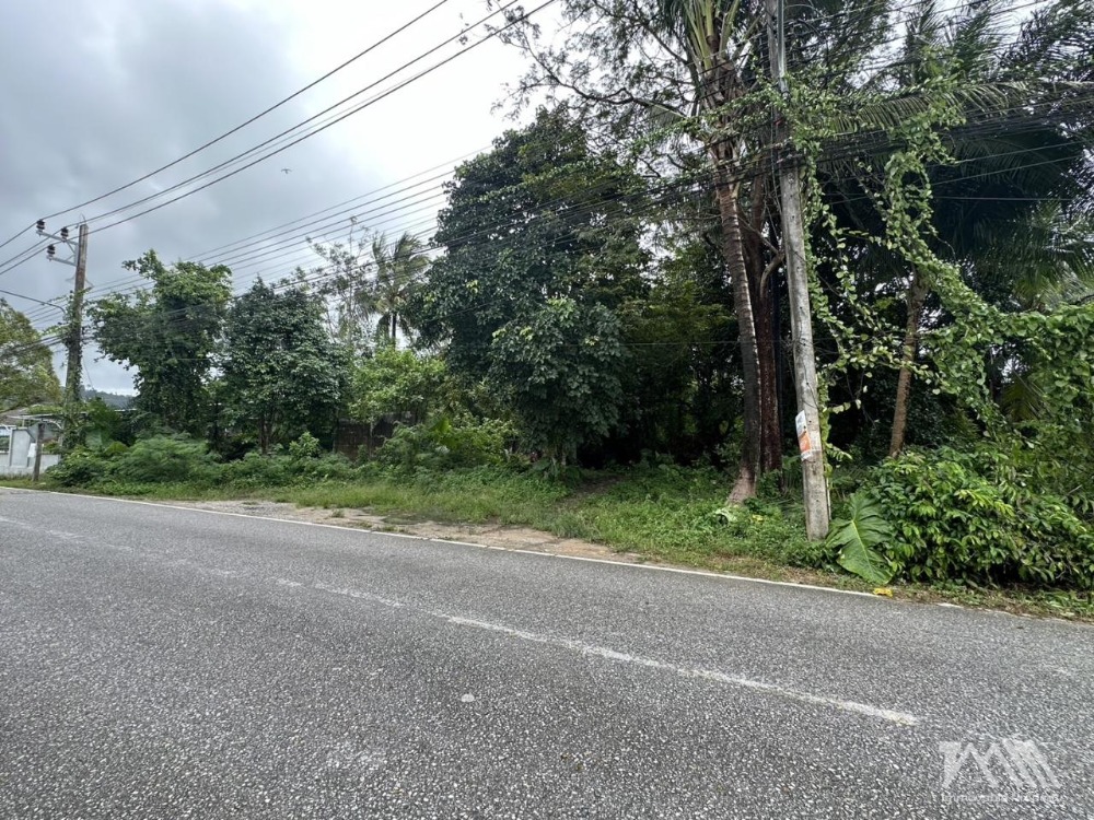 ขายที่ดินภูเก็ต : ที่ดินเปล่า ทำเลป่าคลอก / Land for sale Thalang, Phuket