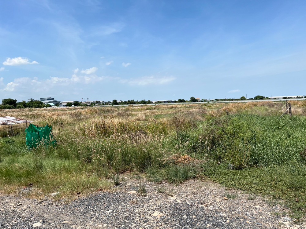 For RentLandSamut Prakan,Samrong : Land Theparak Soi Rungruang / (RENT), Land Theparak Soi Rungruang / (RENT) CJ498