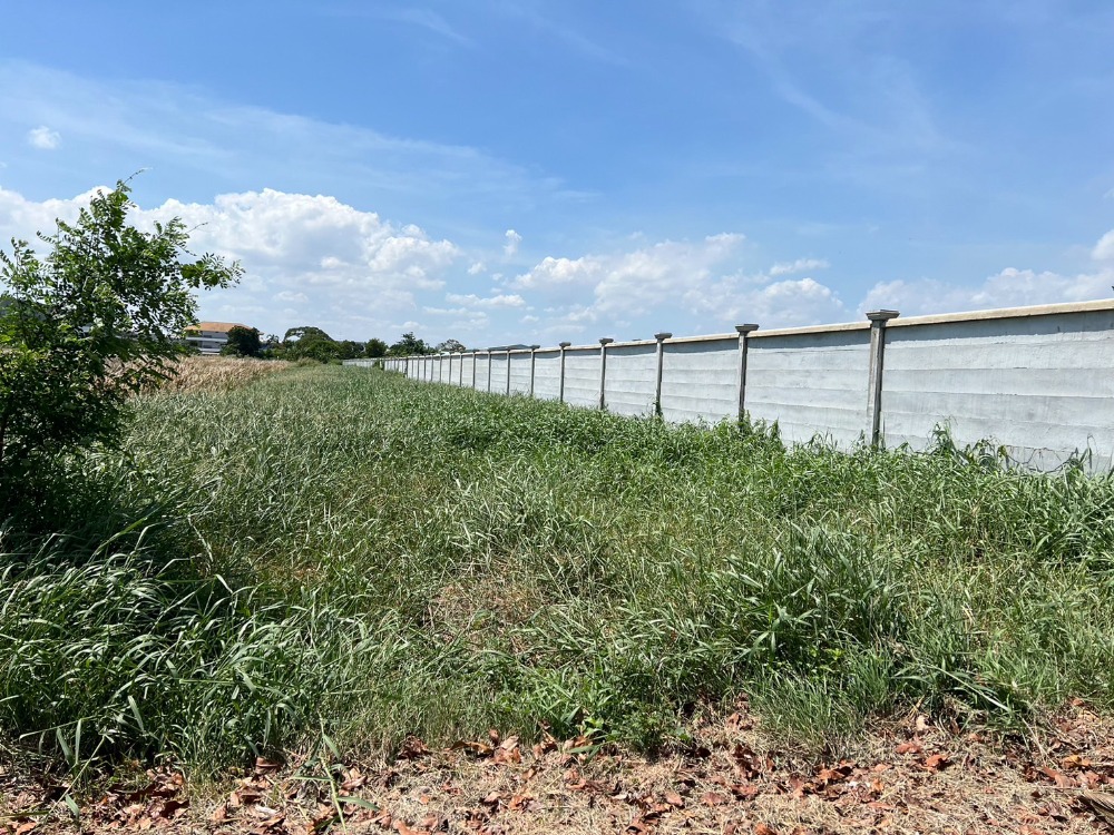 ให้เช่าที่ดินสมุทรปราการ สำโรง : ที่ดิน เทพารักษ์ ซ.รุ่งเรือง / (เช่า), Land Theparak Soi Rungruang / (RENT) YOK122