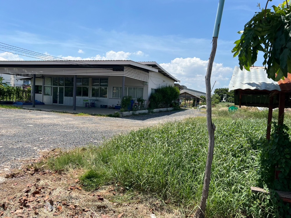 ให้เช่าที่ดินสมุทรปราการ สำโรง : ที่ดิน เทพารักษ์ ซ.รุ่งเรือง / (เช่า), Land Theparak Soi Rungruang / (RENT) YOK122