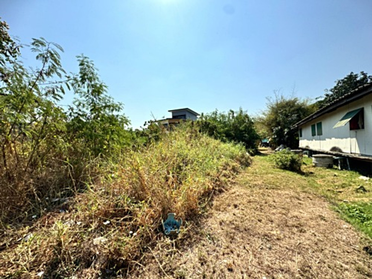 ขายที่ดินลาดกระบัง สุวรรณภูมิ : ขายที่ดินซอยลาดกระบัง3 ขนาด 371 ตร.วา (ถนนประชาทร) วิวลำธาร (N.1380)