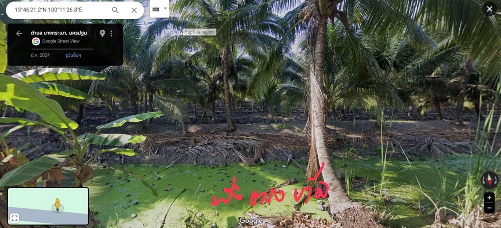 ขายที่ดินนครปฐม : ขายที่ดินเปล่า นครชัยศรี ขนาด  163 ต.ร.ว เหมาะสร้างบ้านสวน