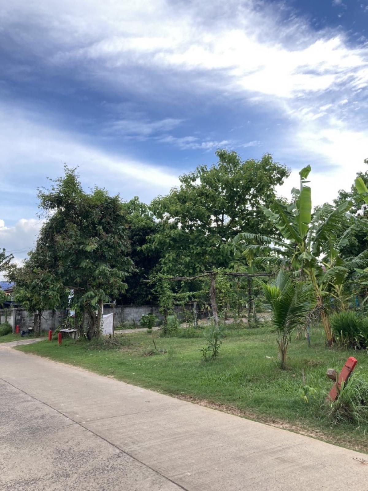 ขายบ้านอุบลราชธานี : เจ้าของขายเอง บ้าน 3 หลัง 9 ห้องนอน 7 ห้องน้ำ พร้อมที่ดิน 2 ไร่ 19.3 ตารางวา