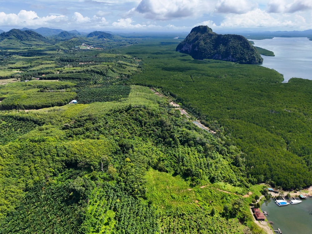 ขายที่ดินกระบี่ : โอกาสพิเศษ! โอกาสุดท้าย  ขายที่ดินแปลงสุดท้าย วิวดีที่สุด ทำเลทองแห่งอนาคต ที่ กระบี่ เกาะลันตา ดินแดนแห่งการลงทุนและนักท่องเที่ยว