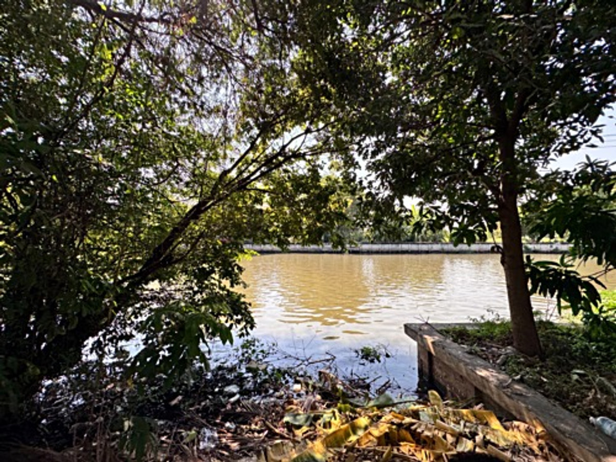 ขายที่ดินลาดกระบัง สุวรรณภูมิ : ขายที่ดินซอยลาดกระบัง3 ขนาด 371 ตร.วา (ถนนประชาทร) วิวลำธาร (N.1380)