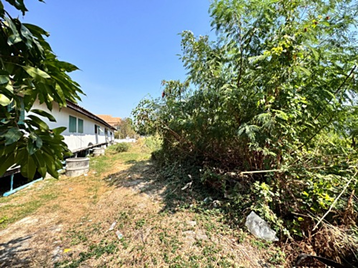 ขายที่ดินลาดกระบัง สุวรรณภูมิ : ขายที่ดินซอยลาดกระบัง3 ขนาด 371 ตร.วา (ถนนประชาทร) วิวลำธาร (N.1380)