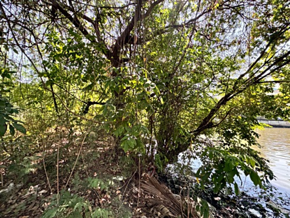 ขายที่ดินลาดกระบัง สุวรรณภูมิ : ขายที่ดินซอยลาดกระบัง3 ขนาด 371 ตร.วา (ถนนประชาทร) วิวลำธาร (N.1380)