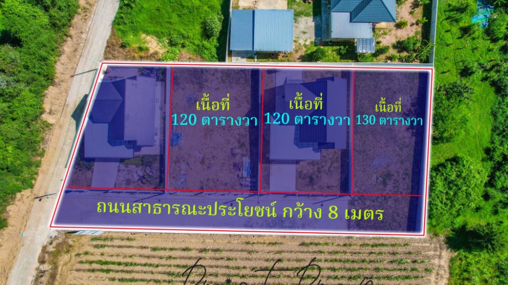 ขายที่ดินหัวหิน ประจวบคีรีขันธ์ : ที่ดินมาม่า สี่แยกปราณบุรี 120 ตารางวา ถมสูง พร้อมกำแพงคอนกรีตรอบที่ดิน ไฟฟ้า 3 เฟส ประปา ถนนคอนกรีต 8 เมตร