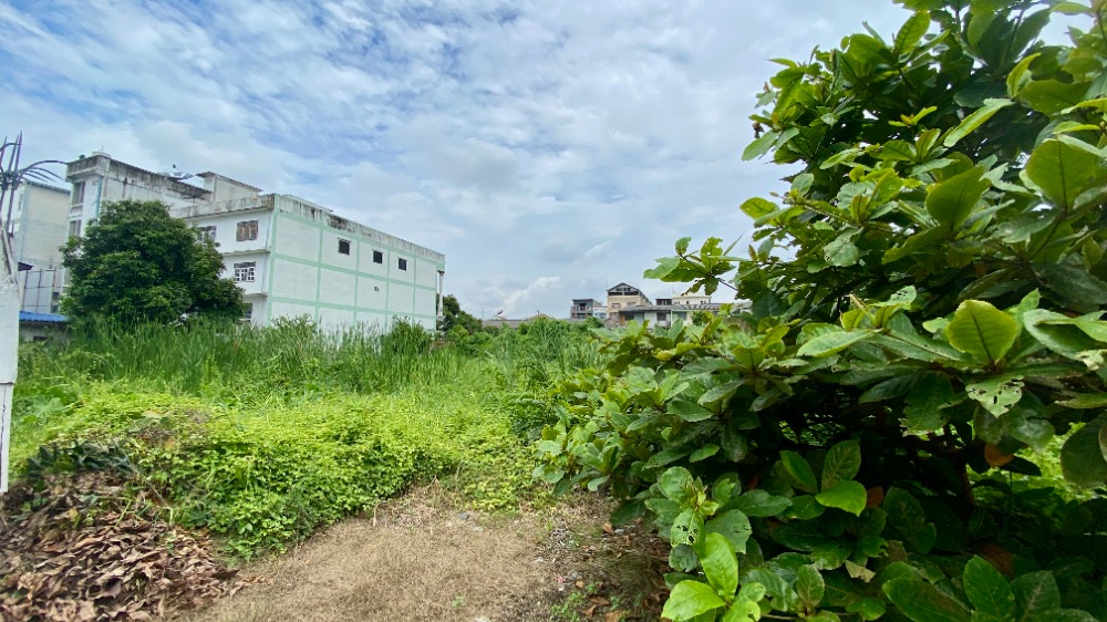 For SaleLandBang kae, Phetkasem : Land for sale, Petchkasem 40 Soi 3, size 2 rai 1 ngan 49 sq.w., 3 plots next to each other, orange plan