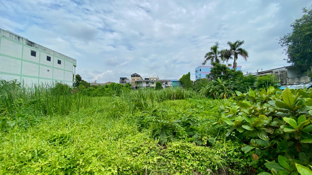 For SaleLandBang kae, Phetkasem : Land for sale, Petchkasem 40 Soi 3, size 2 rai 1 ngan 49 sq.w., 3 plots next to each other, orange plan
