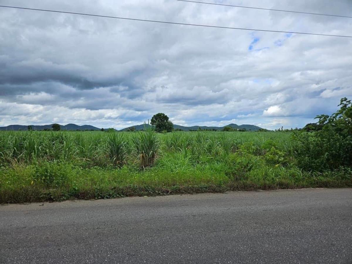 For SaleLandRatchaburi : Sugarcane farm land for sale, mountain view, on paved road, area 22 rai 2 ngan 96 sq m. (9,096 sq m.), Khao Khlung Subdistrict, Ban Pong District, Ratchaburi Province