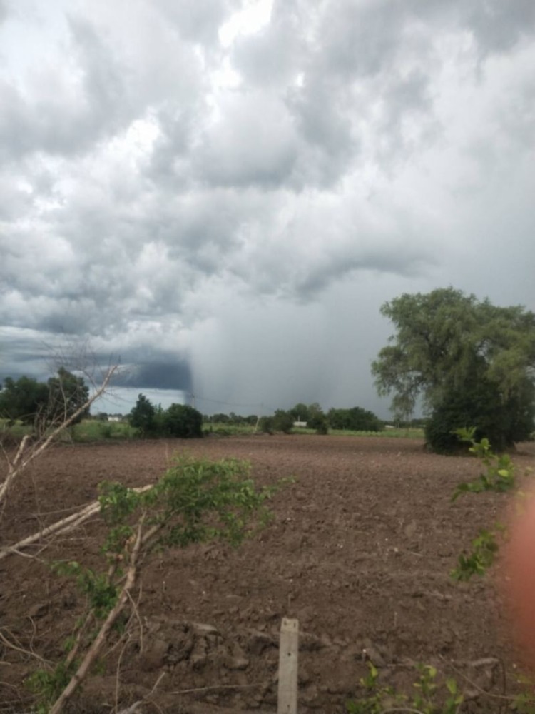 ขายที่ดินสุพรรณบุรี : ขาย ที่ดิน 50 ไร่ 13 ตารางวา ถนนทางเข้าพื้นที่กว้าง ต.พลับพลาไชย อ.อู่ทอง จ.สุพรรณบุรี