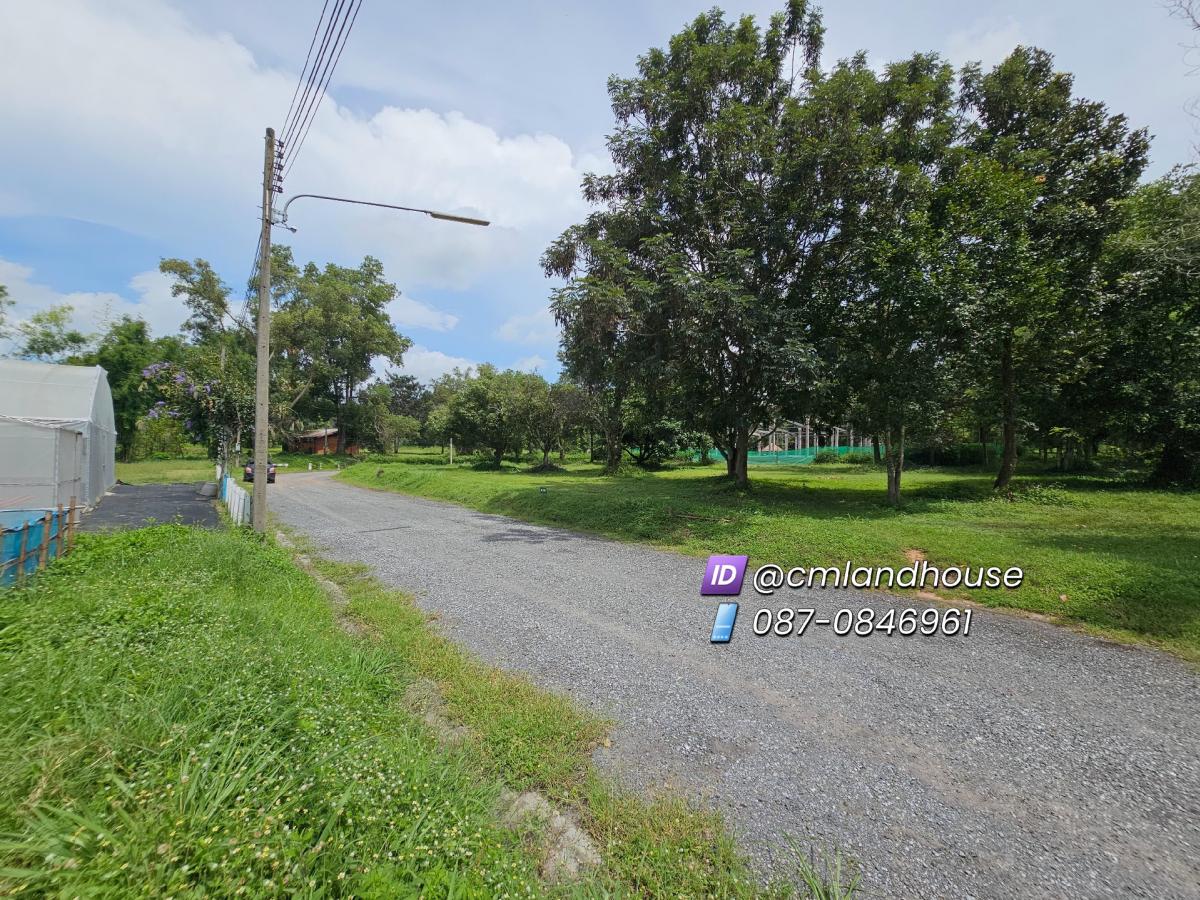 For SaleLandChiang Mai : Vacant land 185 sq.wa. 999,000 (5,400/sq.wa) in Greenfield project, Pa Pong Subdistrict, Doi Saket District