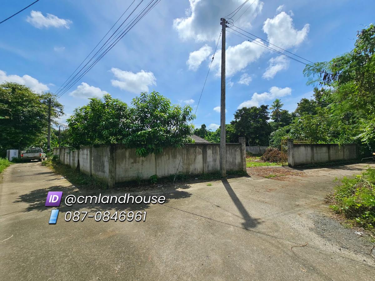 For SaleLandChiang Mai : Vacant land 178 sq.w. near Wat San Ton Pao, Nong Yaeng Subdistrict, San Sai District, has electricity and tap water, near Central Festival 13 km., near Suan Tawi Chon