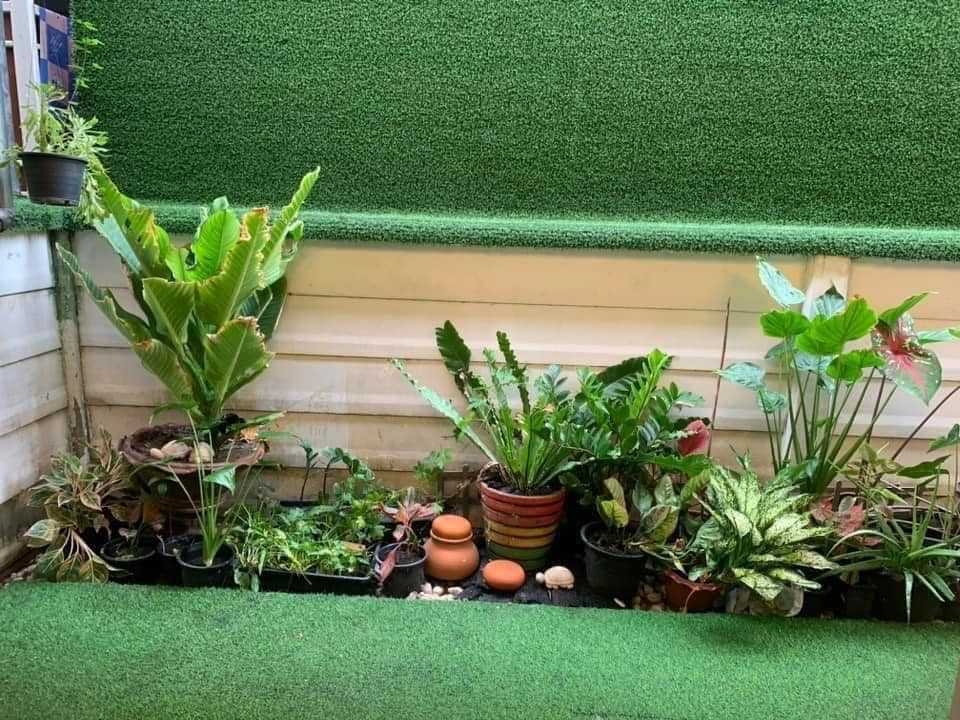 ขายทาวน์โฮมเกษตร นวมินทร์ ลาดปลาเค้า : S-ADKN101 ขาย ทาวน์โฮม โครงการ อารียา เดลี่ เกษตร-นวมินทร์ 3ชั้น ขนาด 17.4ตรว. พื้นที่ใช้สอย 69.6ตรม. 3นอน 4น้ำ 5 ล้าน 064-959-8900