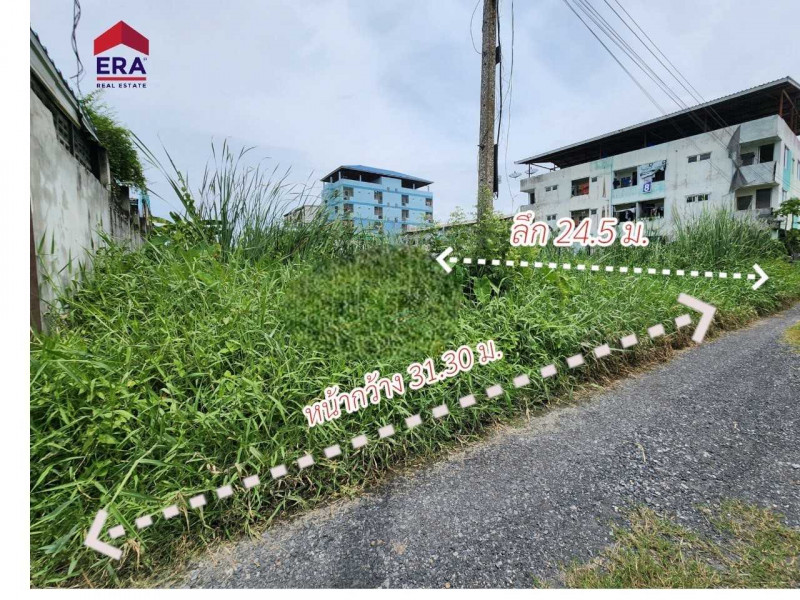 For SaleLandPathum Thani,Rangsit, Thammasat : Land for sale, area 202 square wah, Pathum Thani Province