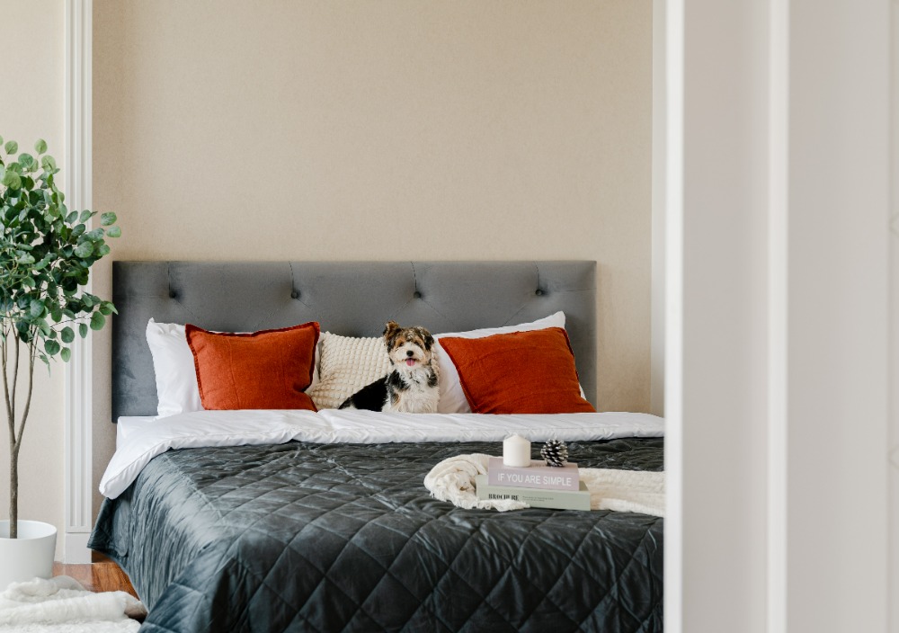 For SaleCondoSukhumvit, Asoke, Thonglor : 🔥🔥 𝙁𝙊𝙍 𝙎𝘼𝙇𝙀 : 𝐀𝐆𝐔𝐒𝐓𝐎𝐍 𝐒𝐮𝐤𝐡𝐮𝐦𝐯𝐢𝐭 𝟐𝟐 , 𝙪𝙡𝙡𝙮 𝙁𝙞𝙩𝙩𝙚𝙙 , 𝟏 𝘽𝙚𝙙 𝟏 𝘽𝙖𝙩𝙝, 𝟓𝟔.𝟐𝟒𝐬𝐪.𝐦., 𝙋𝙧𝙞𝙘𝙚 𝟕.𝟗𝟗 𝙈𝘽 Contact Mr. Nat 𝟎𝟗𝟓𝟗𝟒𝟏𝟓𝟗𝟗𝟗