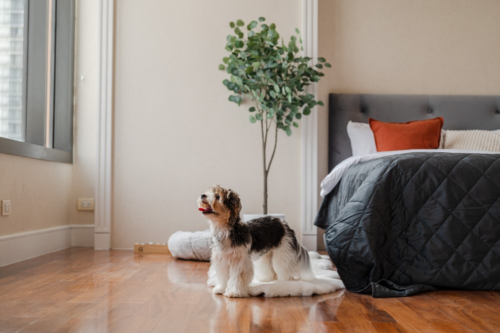 For SaleCondoSukhumvit, Asoke, Thonglor : 🔥🔥 𝙁𝙊𝙍 𝙎𝘼𝙇𝙀 : 𝐀𝐆𝐔𝐒𝐓𝐎𝐍 𝐒𝐮𝐤𝐡𝐮𝐦𝐯𝐢𝐭 𝟐𝟐 , 𝙪𝙡𝙡𝙮 𝙁𝙞𝙩𝙩𝙚𝙙 , 𝟏 𝘽𝙚𝙙 𝟏 𝘽𝙖𝙩𝙝, 𝟓𝟔.𝟐𝟒𝐬𝐪.𝐦., 𝙋𝙧𝙞𝙘𝙚 𝟕.𝟗𝟗 𝙈𝘽 Contact Mr. Nat 𝟎𝟗𝟓𝟗𝟒𝟏𝟓𝟗𝟗𝟗