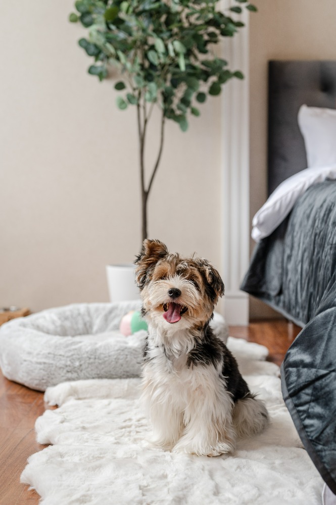 For SaleCondoSukhumvit, Asoke, Thonglor : 🔥🔥 𝙁𝙊𝙍 𝙎𝘼𝙇𝙀 : 𝐀𝐆𝐔𝐒𝐓𝐎𝐍 𝐒𝐮𝐤𝐡𝐮𝐦𝐯𝐢𝐭 𝟐𝟐 , 𝙪𝙡𝙡𝙮 𝙁𝙞𝙩𝙩𝙚𝙙 , 𝟏 𝘽𝙚𝙙 𝟏 𝘽𝙖𝙩𝙝, 𝟓𝟔.𝟐𝟒𝐬𝐪.𝐦., 𝙋𝙧𝙞𝙘𝙚 𝟕.𝟗𝟗 𝙈𝘽 Contact Mr. Nat 𝟎𝟗𝟓𝟗𝟒𝟏𝟓𝟗𝟗𝟗