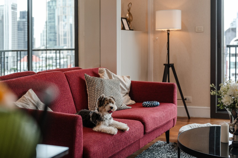 For SaleCondoSukhumvit, Asoke, Thonglor : 🔥🔥 𝙁𝙊𝙍 𝙎𝘼𝙇𝙀 : 𝐀𝐆𝐔𝐒𝐓𝐎𝐍 𝐒𝐮𝐤𝐡𝐮𝐦𝐯𝐢𝐭 𝟐𝟐 , 𝙪𝙡𝙡𝙮 𝙁𝙞𝙩𝙩𝙚𝙙 , 𝟏 𝘽𝙚𝙙 𝟏 𝘽𝙖𝙩𝙝, 𝟓𝟔.𝟐𝟒𝐬𝐪.𝐦., 𝙋𝙧𝙞𝙘𝙚 𝟕.𝟗𝟗 𝙈𝘽 Contact Mr. Nat 𝟎𝟗𝟓𝟗𝟒𝟏𝟓𝟗𝟗𝟗